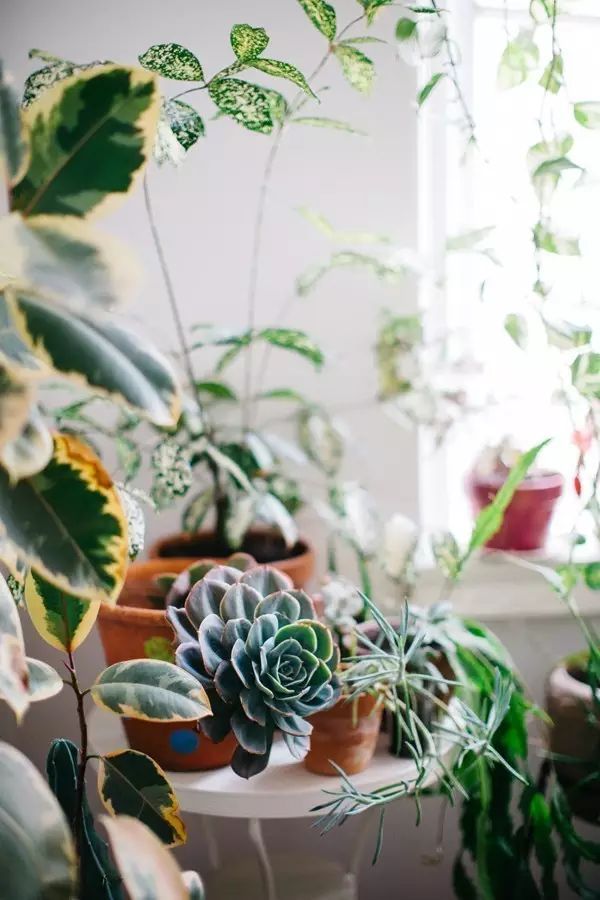 家里擺一盆綠植，
辦公家具家具給生活增添一點(diǎn)小確幸