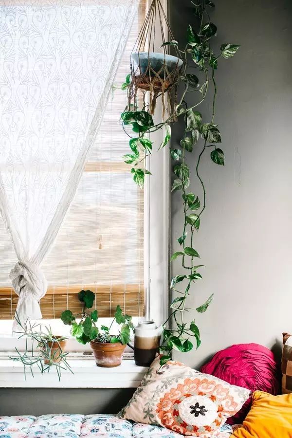 家里擺一盆綠植，
辦公家具家具給生活增添一點(diǎn)小確幸