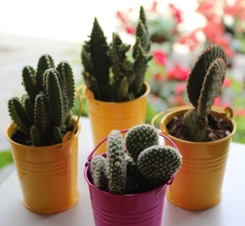 更多產(chǎn)品常識,采購知識,設(shè)計(jì)方案!