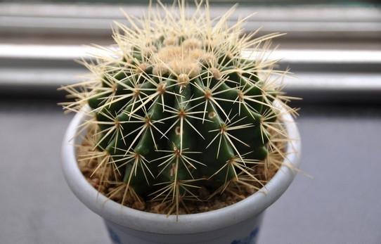 更多產(chǎn)品常識,采購知識,設(shè)計(jì)方案!