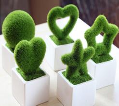 辦公室內(nèi)綠化植物如何擺放？——群植